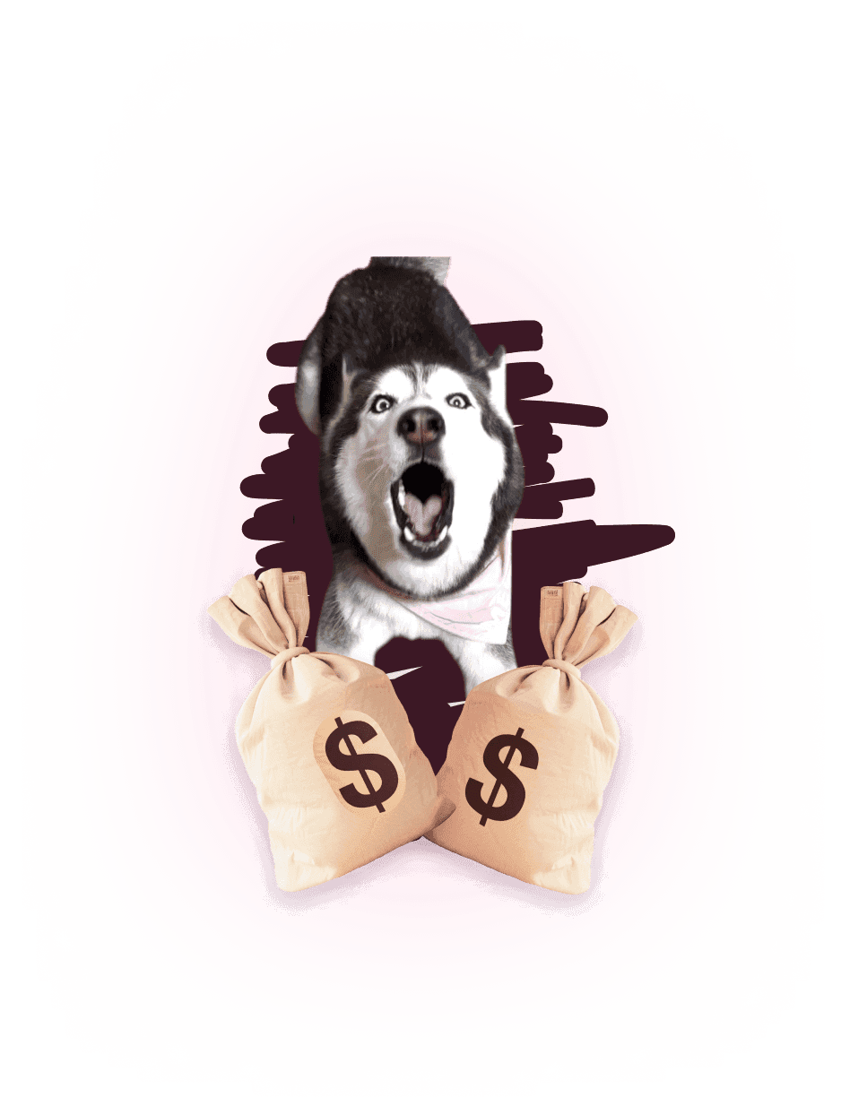 Dog And Money