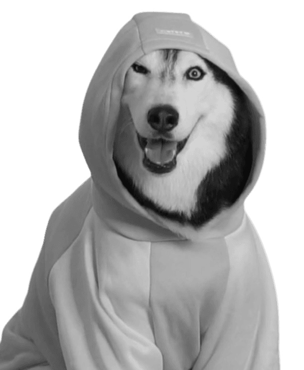 Grayscale Dog